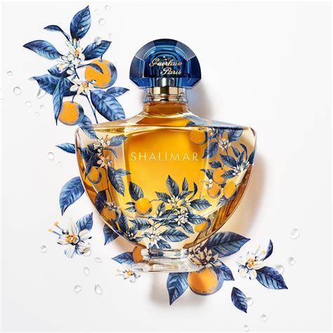 shalimar eau de parfum notes|More.